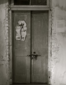 18MUSTS photo by Immy Mali