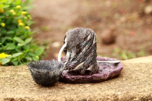 Reconciliation Saloon (I)